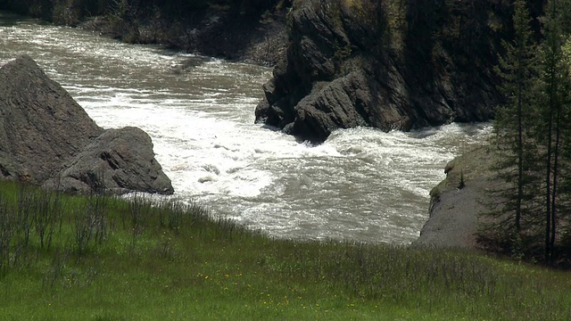 在野外骑山地自行车视频素材