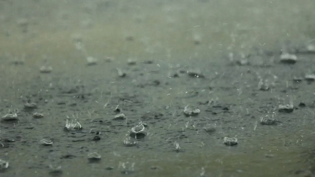 雨视频下载