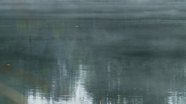 高清:雾湖视频素材