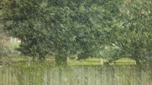 大雪视频素材