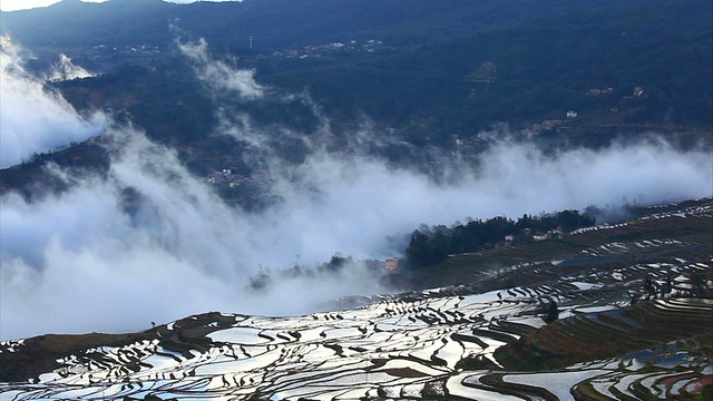 元阳梯田视频素材