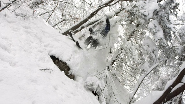 高清超级慢动作:越野滑雪穿过森林视频素材