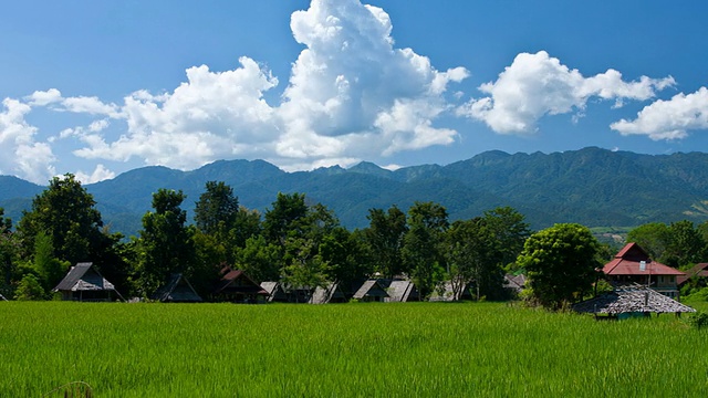 绿野村视频素材