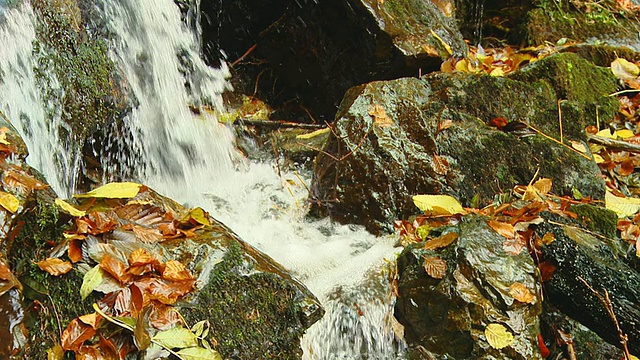 HD SLOW-MO:水晶溪在秋天视频素材