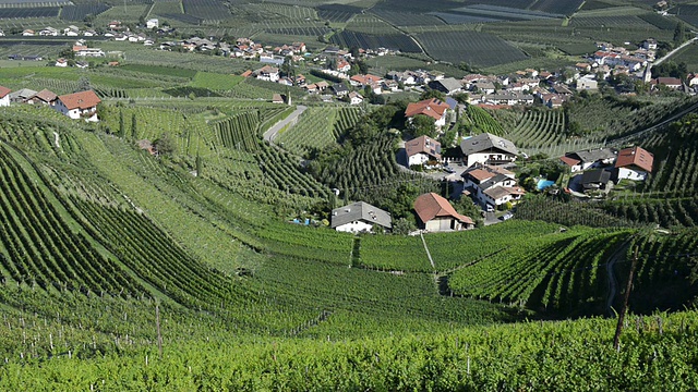 意大利南蒂罗尔，Trentino, Lebenberg / Merano附近的葡萄园谷的WS View视频素材