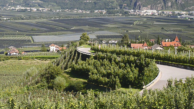 意大利南蒂罗尔，Trentino, Lebenberg / Merano附近的苹果种植园和葡萄园视频素材