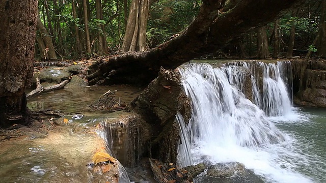 热带雨林中的瀑布视频素材