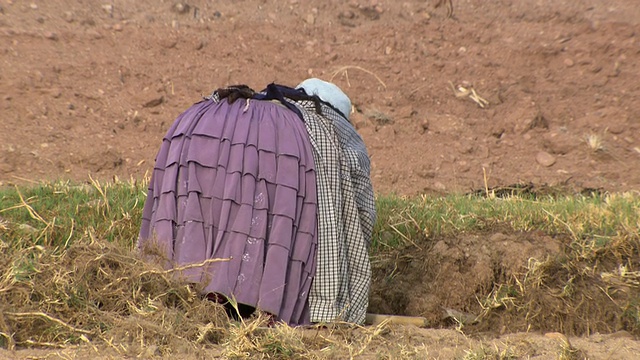 玻利维亚科帕卡巴纳郊区的农村妇女在犁地视频素材