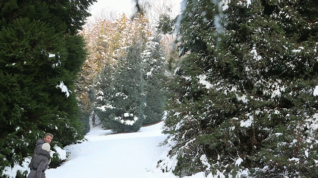 一对夫妇在针叶林里穿过厚厚的积雪视频素材