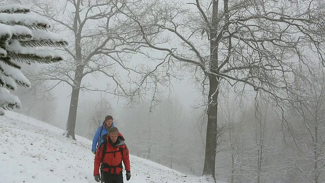 父亲和儿子在暴风雪中徒步旅行视频素材