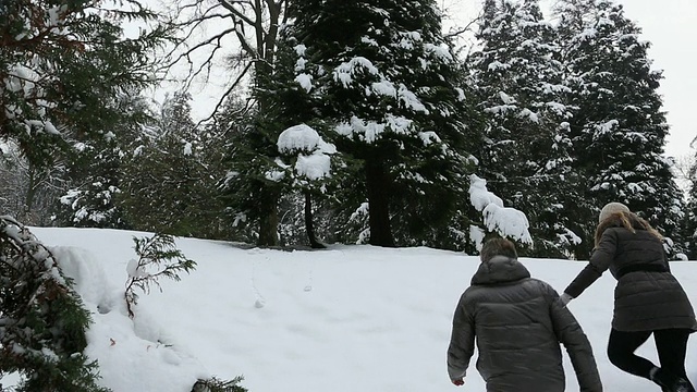 夫妇俩穿过森林深处的积雪，男人伸出手来视频素材