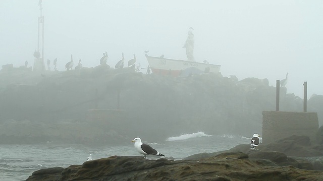 海浪撞击鸟类栖息在岩石上的背景雕塑/ Horcon，智利视频素材