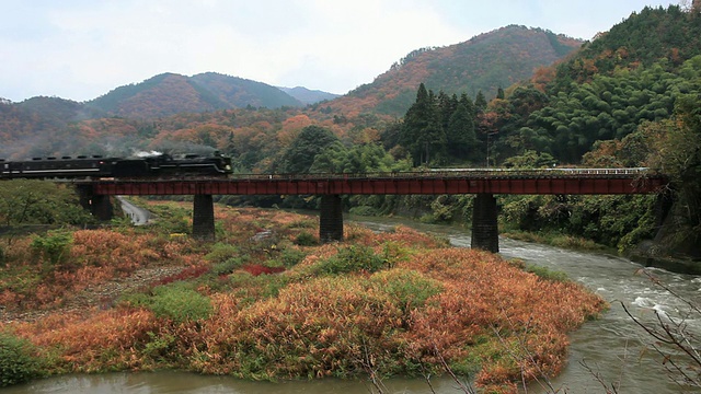 蒸汽机车/山口，山口县，日本视频素材