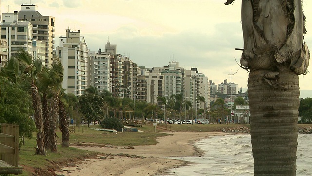 巴西Florianopolis [FlorianÃ³polis]， Beira Mar大道海滨和棕榈树海滩[巴西]视频素材