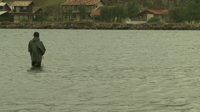 巴西拉古纳海域的海豚和传统渔民[巴西]视频素材