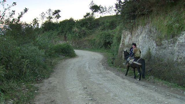 秘鲁亚马逊地区，两名成年人骑在马背上，带着棕黄色的狗沿着山坡上的砾石路行进[PerÃº]视频素材