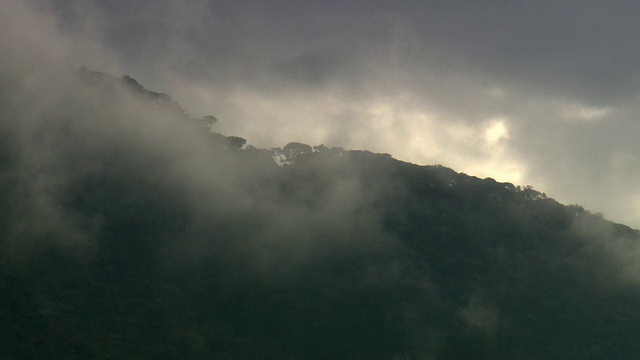 “戏剧性的，穆迪朦胧的轮廓森林山，秘鲁亚马逊地区[PerÃº]”视频素材