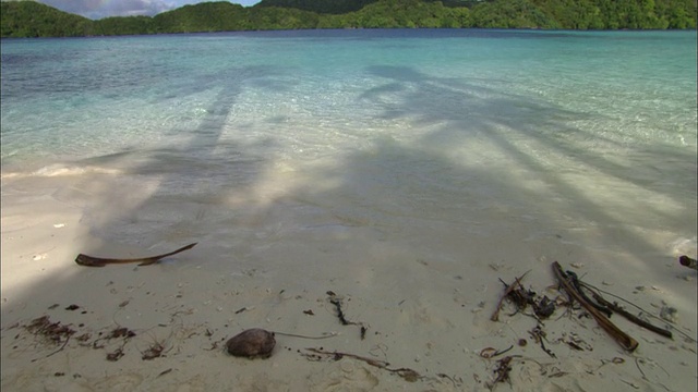 海滩海洋帕劳，南太平洋视频素材