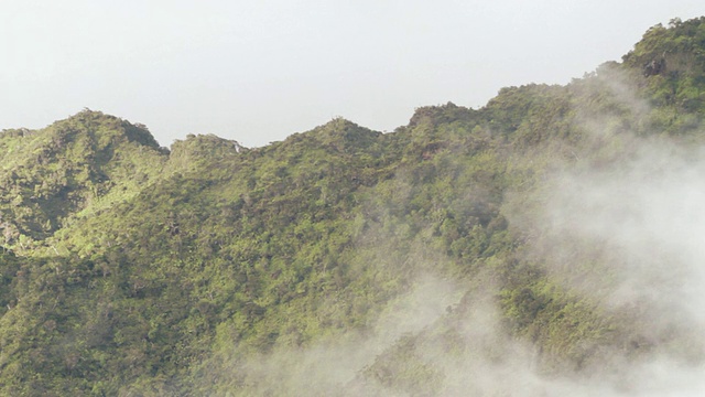 美国夏威夷考艾岛附近的山脉/卡拉劳山谷视频素材