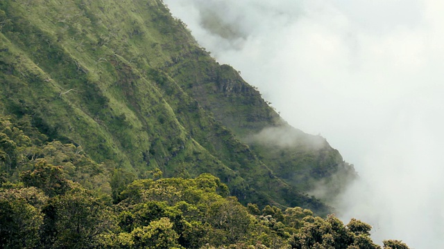 美国夏威夷考艾岛Kalalau Valley / Kalalau Valley的移动云视频素材