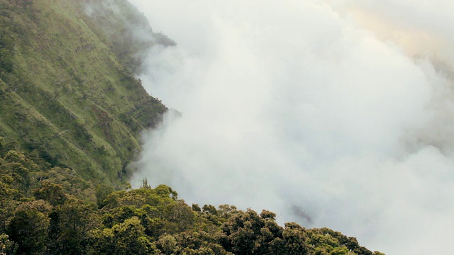 美国夏威夷考艾岛卡拉劳山谷移动云的WS视图视频素材