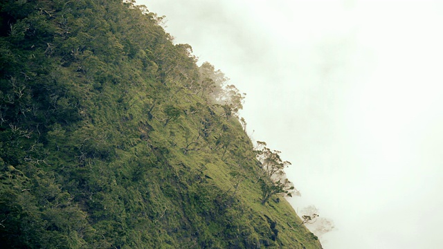 美国夏威夷考艾岛，卡拉劳山谷和云的WS视图细节视频素材