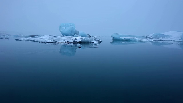 清晨，两只水鸟意外地从水下出现在Jokulsarlon泻湖平静的水面上，在水面上漂浮和反射的大型冰川前视频素材