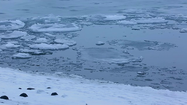 图女士拍摄了许多冰川漂浮在平静的Jokulsarlon泻湖表面。/冰岛视频素材