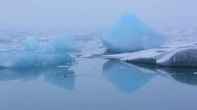 一只野生海狗出乎意料地出现在Jokulsarlon泻湖平静的水面上，水下巨大的冰川在水面上漂浮和漂移视频素材