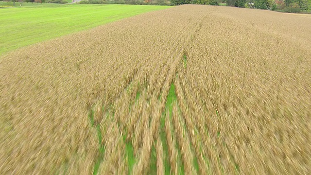 美国宾夕法尼亚州斯库尔基尔县(Schuylkill County)修剪过的田野，CU航拍视频素材