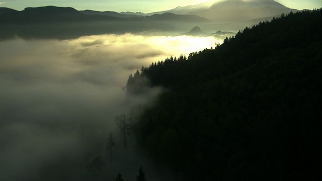 美国华盛顿州雷内尔山山脚下山谷上空云雾鸟瞰图视频素材