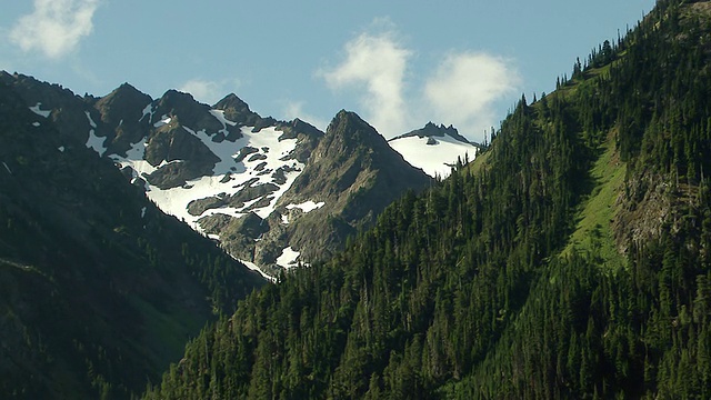 WS鸟瞰图雪峰后面的树覆盖的斜坡在奥林匹克山/华盛顿，美国视频素材