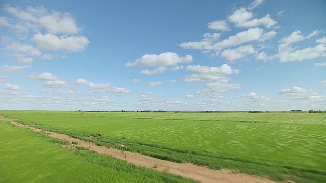 美国俄克拉荷马州伍德县和紫花苜蓿县的大型绿色小麦农场，天空中有轻云视频素材