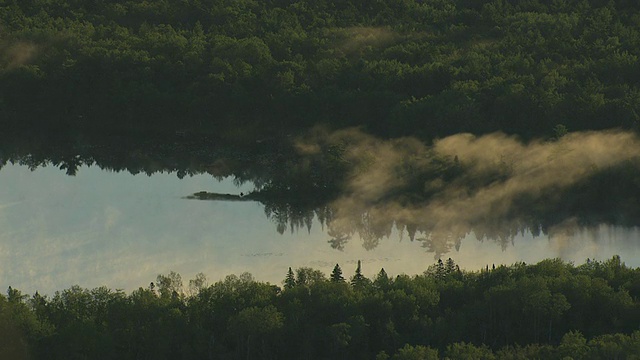 MS AERIAL Douglas Lake with tree reflection and mist over water during sunrise, Cheboygan County / Michigan，美国视频素材