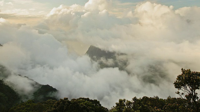 美国夏威夷州考艾岛，卡拉劳山谷，日落时，云形成并覆盖卡拉劳山谷视频素材