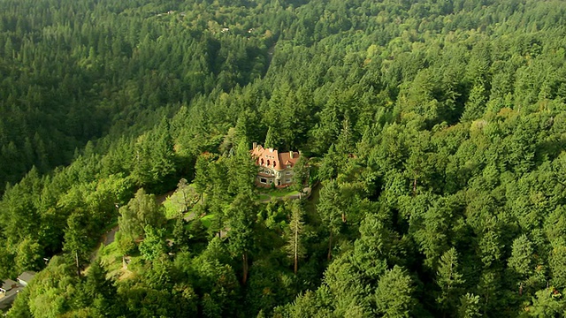 WS AERIAL DS在常青树的山坡上观看皮托克大厦/波特兰，俄勒冈州，美国视频素材