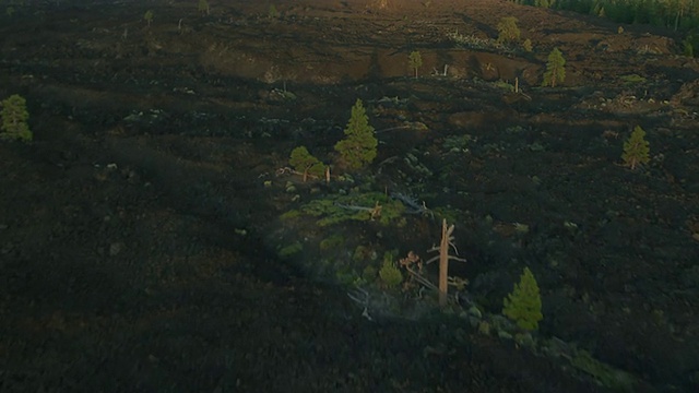 美国俄勒冈州纽伯里国家火山纪念碑的MS空中熔岩降落熔岩岗视频素材