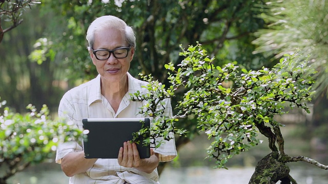 微软高级男子在花园里使用平板设备，然后看向相机视频素材