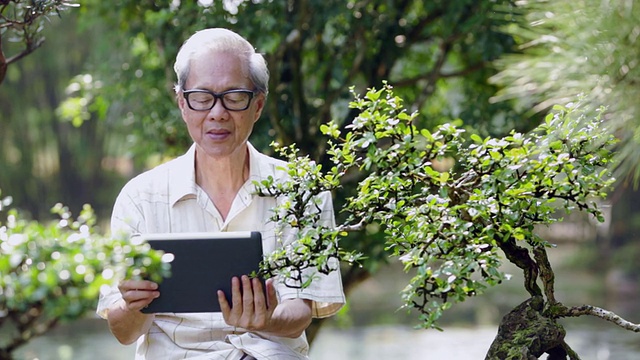 MS高级男子在花园里使用平板设备视频素材