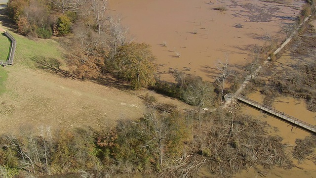 美国乔治亚州，Ocmulgee Nat纪念碑和印第安土丘附近的泥土中被砍伐的树木视频素材