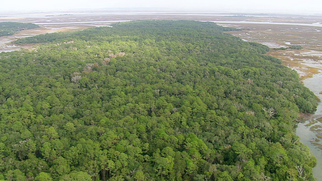 MS AERIAL Sea Islands / Georgia，美国视频素材