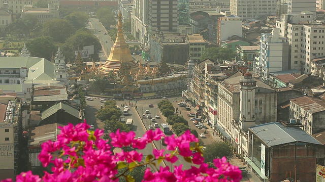 WS HA城市景观与鲜花前景/仰光，仰光，缅甸视频素材