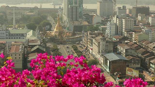 WS HA城市景观与鲜花前景/仰光，仰光，缅甸视频素材