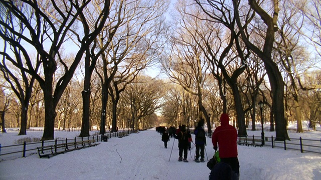 雪后人们在中央公园散步/美国纽约视频素材