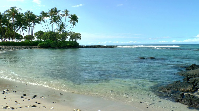 温和的海浪拍打海岸和树木，夏威夷海滩，美国视频素材