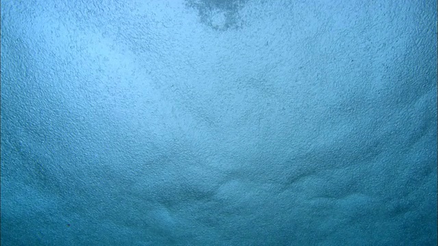 海面，雨水，来自地下，亚达伯拉，印度洋视频素材