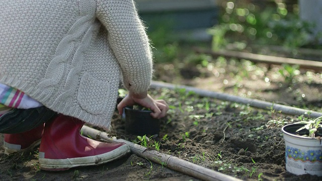 妇女教女孩种植视频素材