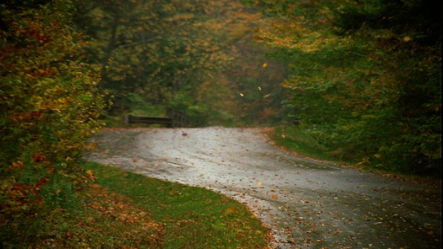 秋叶落在乡村公路在雨/佛蒙特视频素材