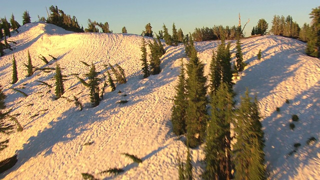 MS AERIAL拍摄的白雪皑皑的山峰和松树在早晨的太浩湖与山和森林树荫/内华达州，美国视频素材