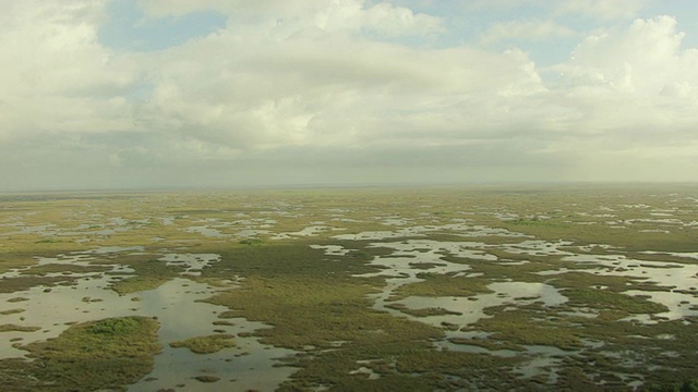 WS鸟瞰图锯草草原和沼泽运河/佛罗里达，美国视频素材